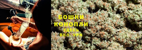 эйфоретик Майский