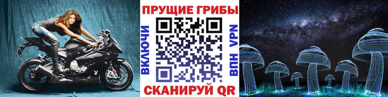 Галлюциногенные грибы прущие грибы Берёзовка