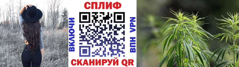 Канабис OG Kush  Берёзовка 